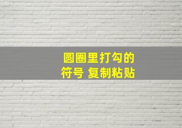 圆圈里打勾的符号 复制粘贴